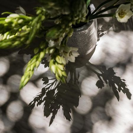 Veller Ben Yehuda Leilighet Tel Aviv Eksteriør bilde